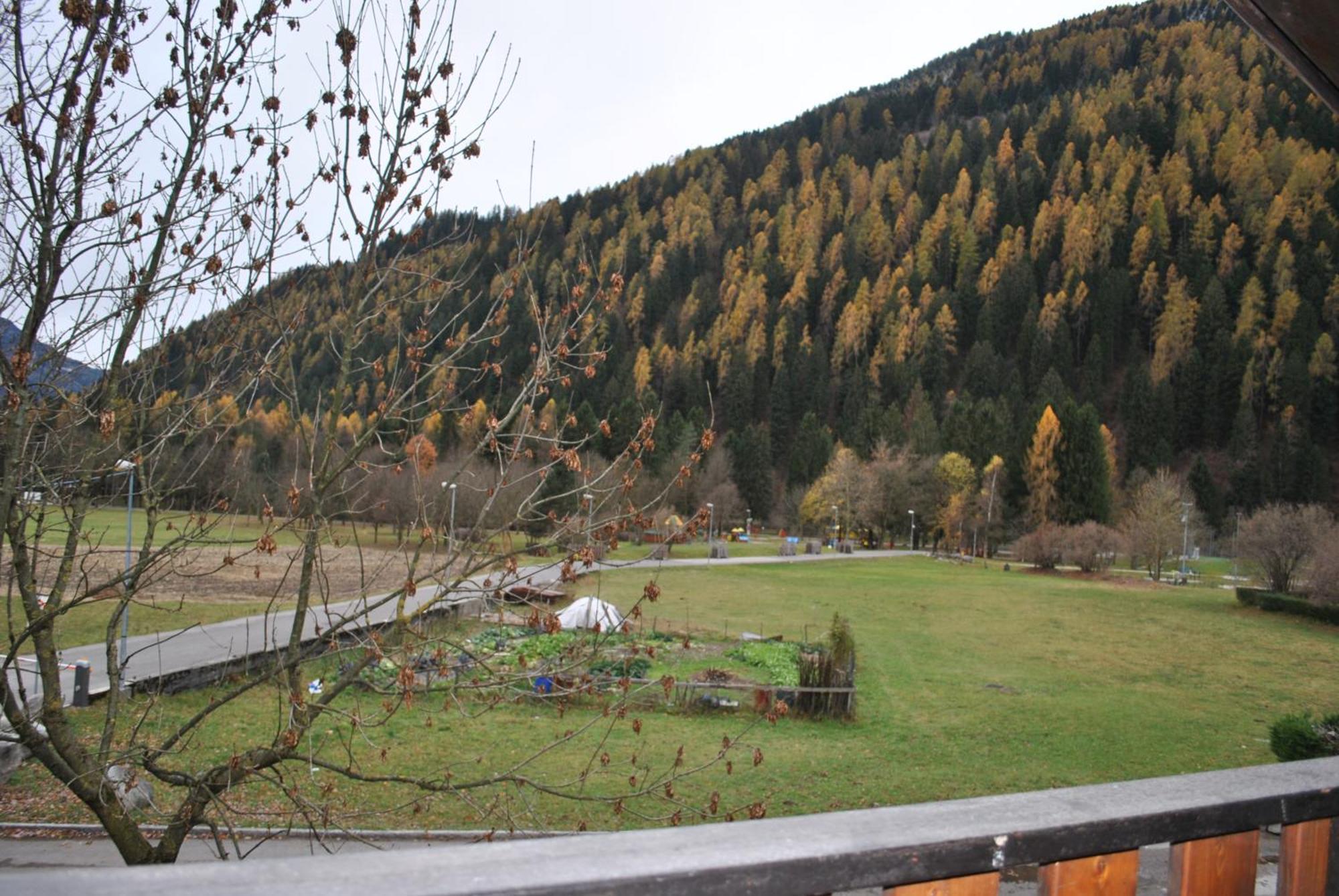 La Pineta - Appartamenti In Villetta Pinzolo Exteriör bild