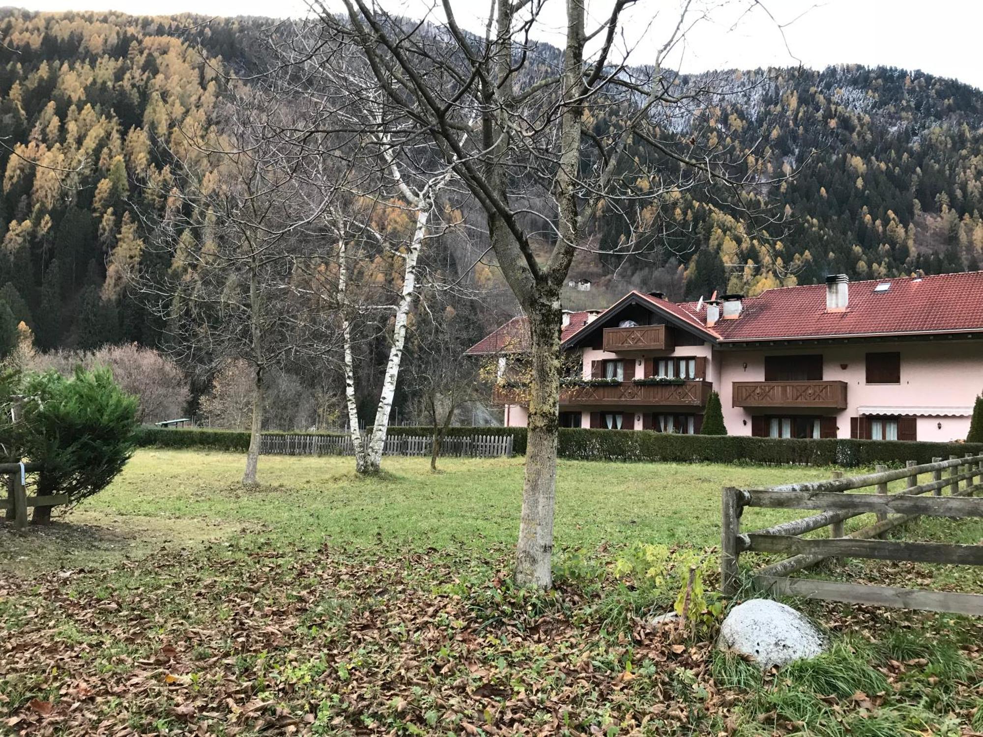 La Pineta - Appartamenti In Villetta Pinzolo Exteriör bild